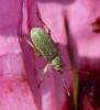 227776 – Photo : Bernard Ginesy – France (13)